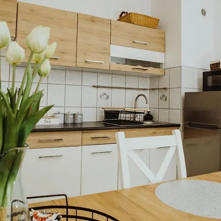 Kraju Centrum Z Fotelem Masujacym شقة