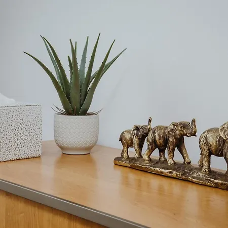 Kraju Centrum Z Fotelem Masujacym سوسنوفييتس