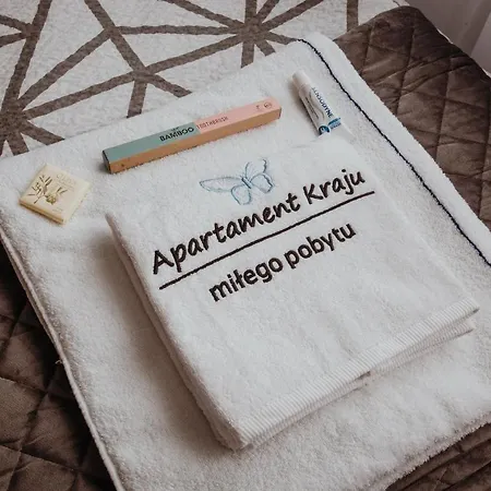 شقة Kraju Centrum Z Fotelem Masujacym سوسنوفييتس