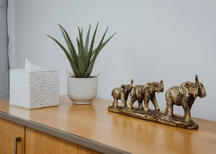 Kraju Centrum Z Fotelem Masujacym Sosnowiec