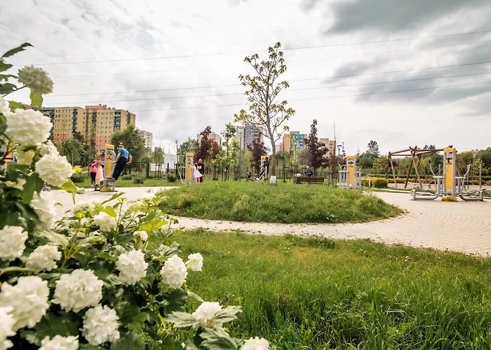 Kraju Centrum Z Fotelem Masujacym Sosnowiec